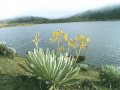 105. Laguna de Mucubaj